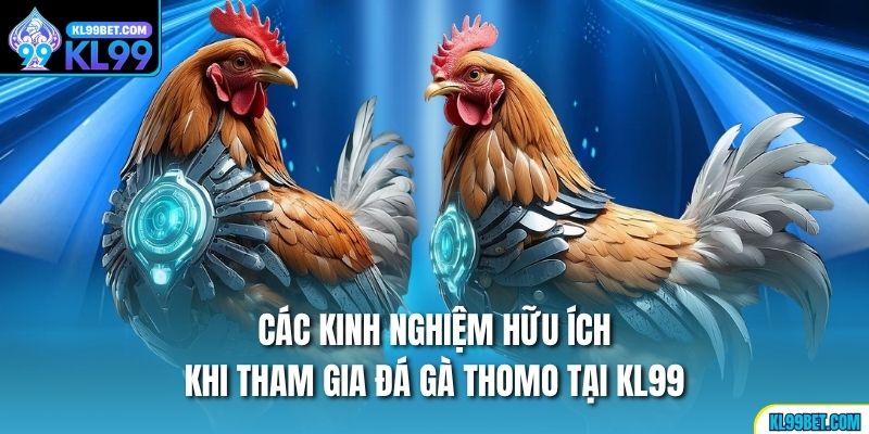 Các kinh nghiệm hữu ích khi tham gia đá gà thomo tại KL99