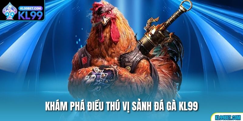 Khám phá điều thú vị sảnh đá gà KL99
